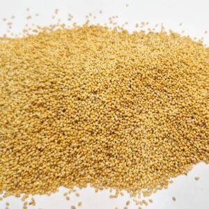 Foxtail millet/ Thinai ( cleaned) - 1 Kg